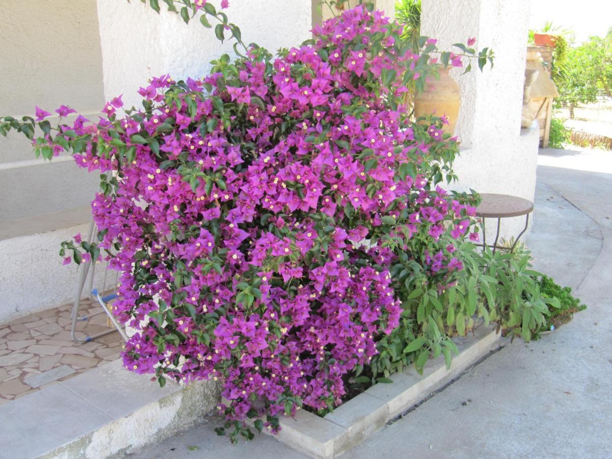 B&B I Limoni Сорсо Экстерьер фото